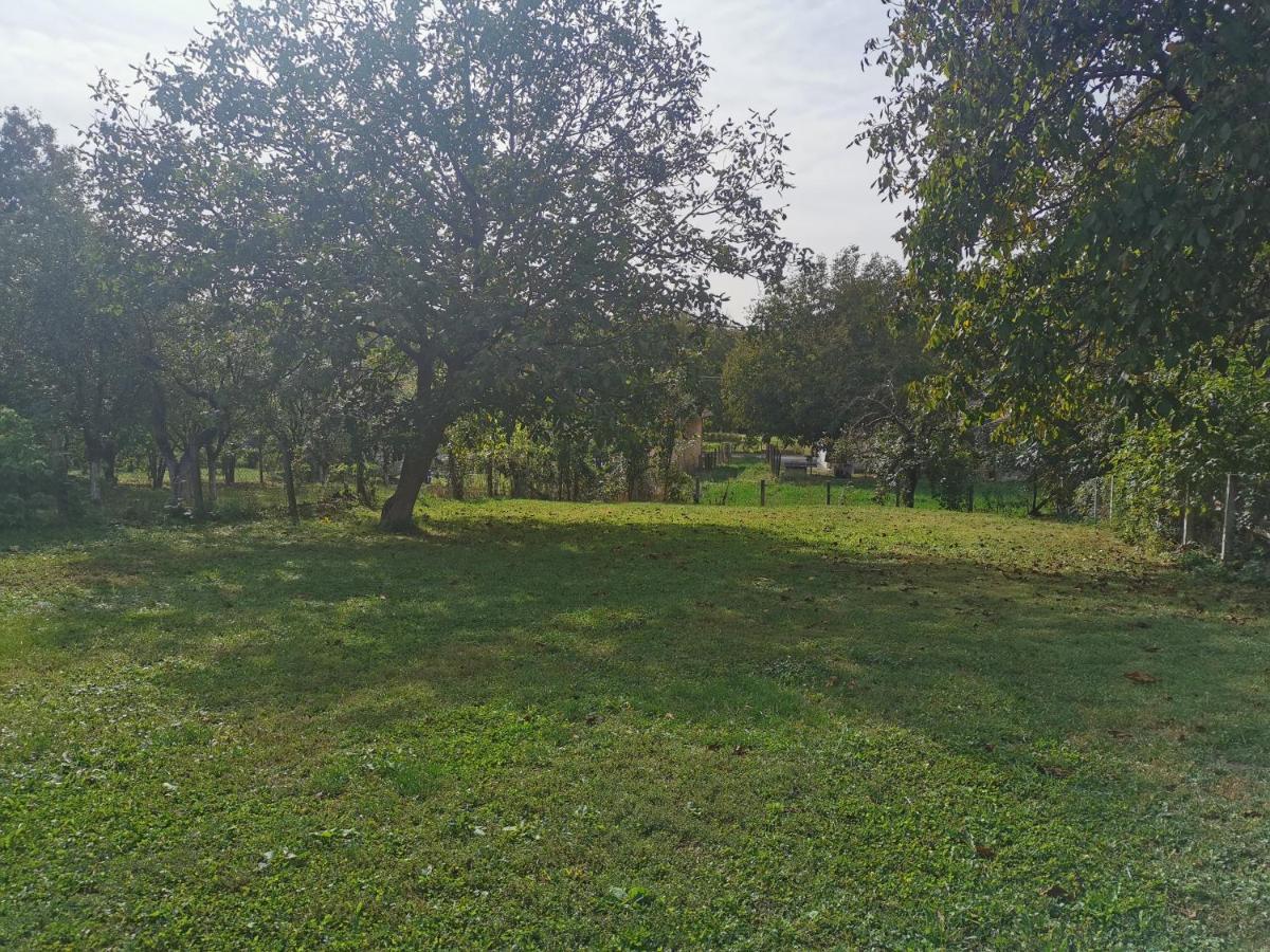Apartmani La Grande Motte Vrdnik Εξωτερικό φωτογραφία