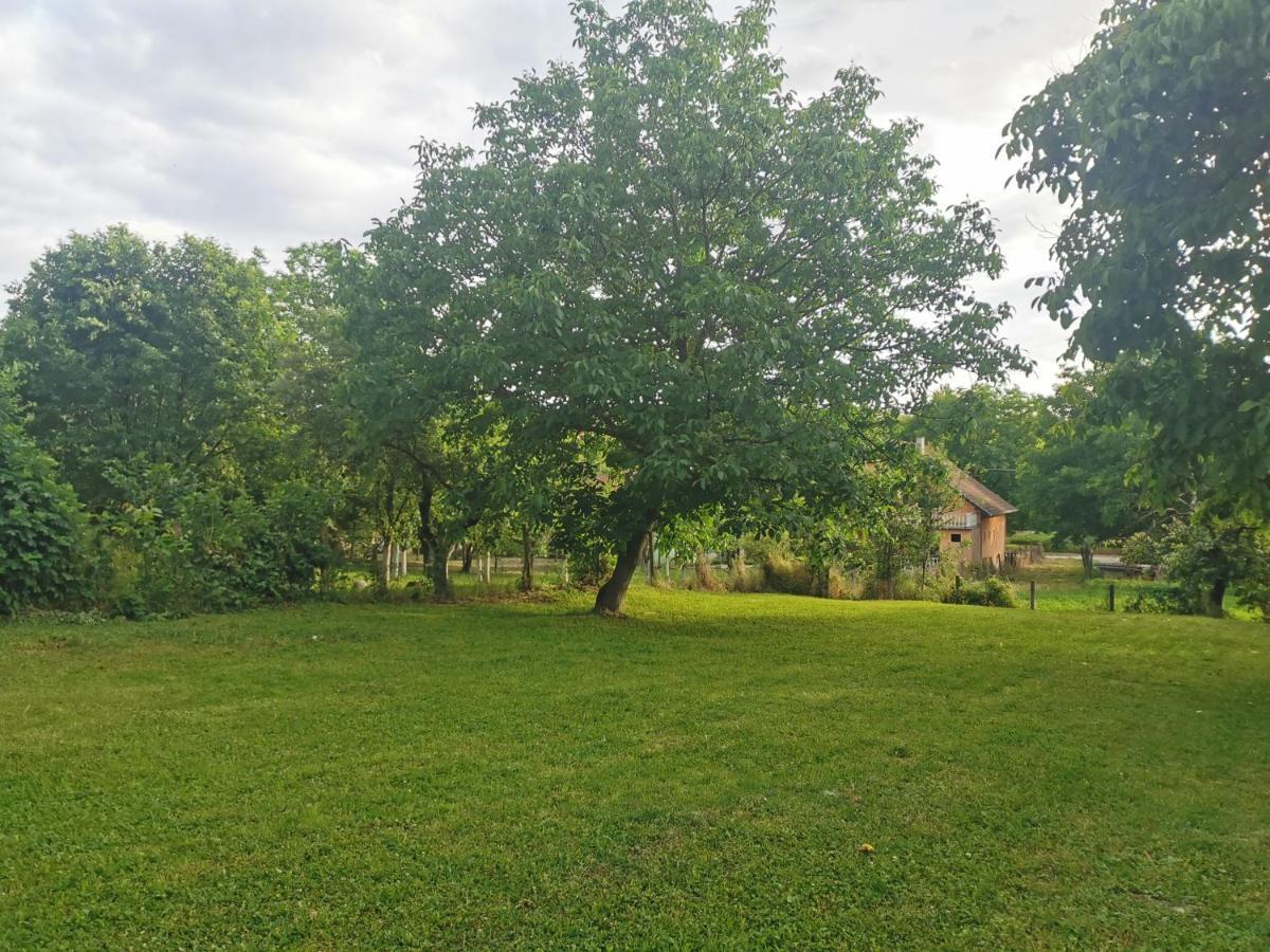 Apartmani La Grande Motte Vrdnik Εξωτερικό φωτογραφία