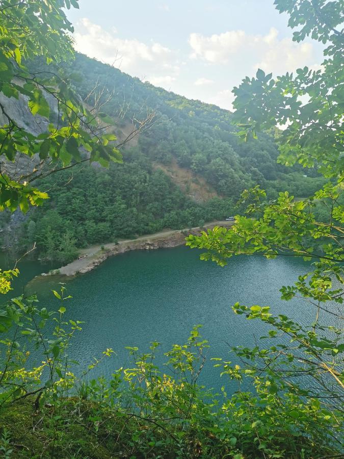 Apartmani La Grande Motte Vrdnik Εξωτερικό φωτογραφία