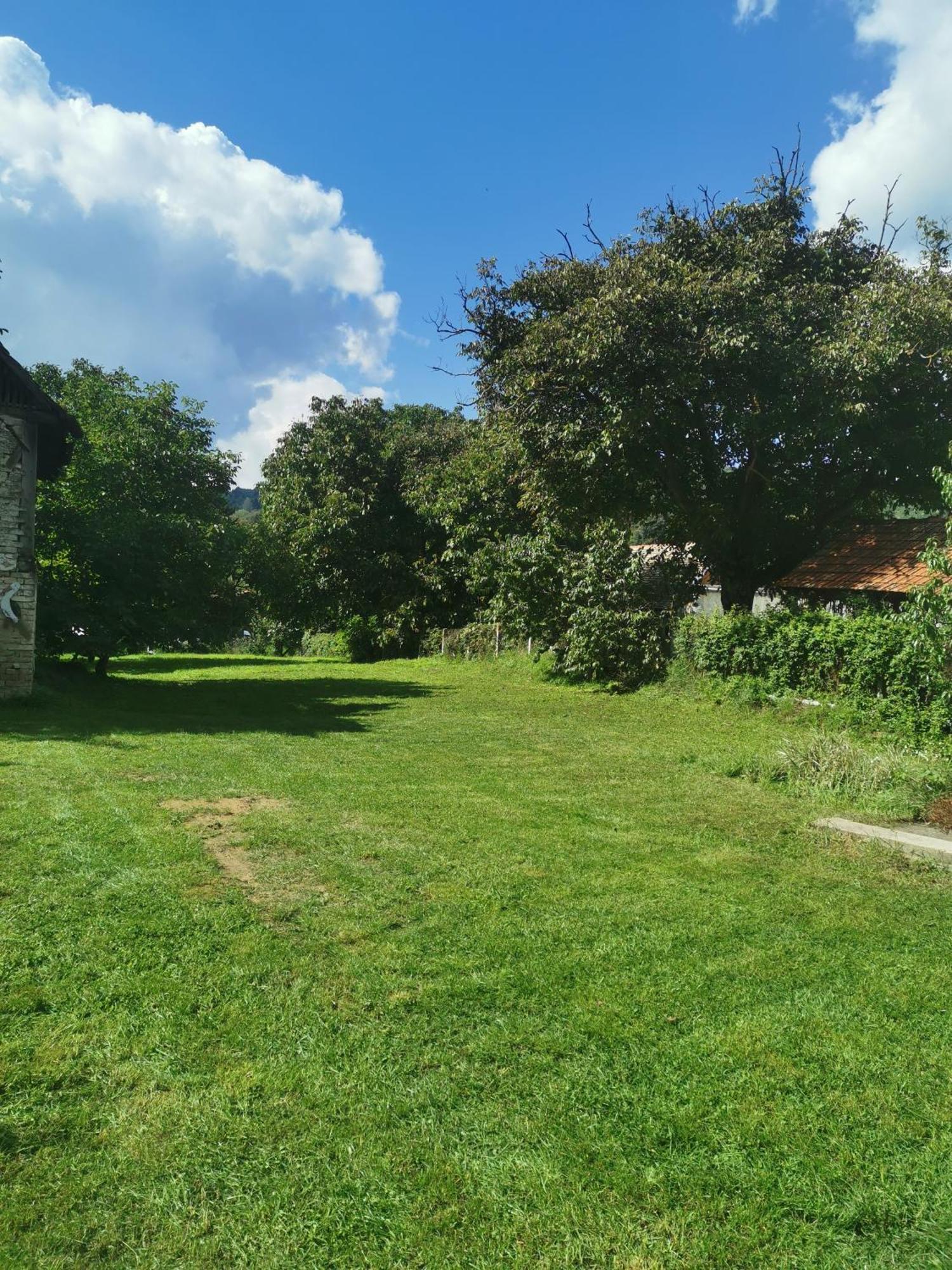 Apartmani La Grande Motte Vrdnik Εξωτερικό φωτογραφία