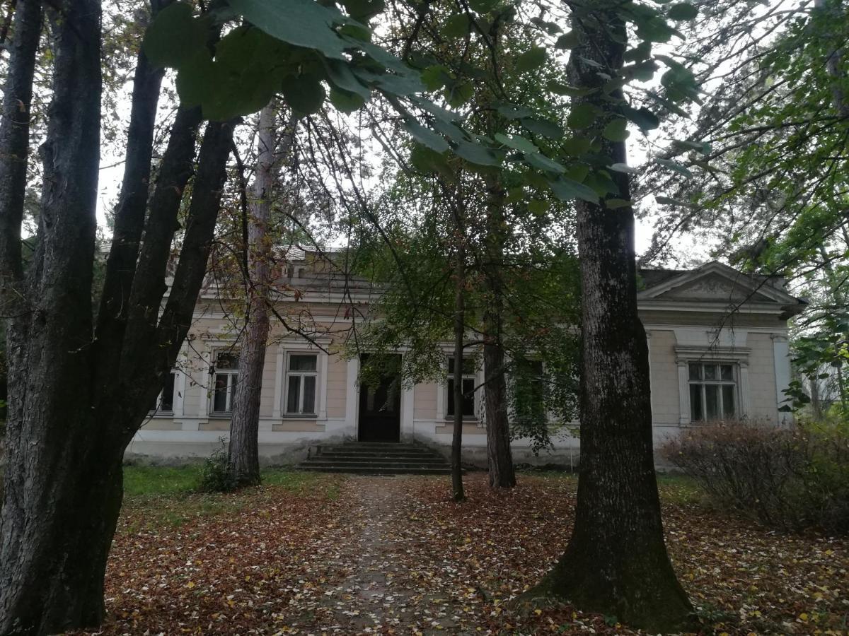Apartmani La Grande Motte Vrdnik Εξωτερικό φωτογραφία